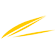 ASL Airlines France